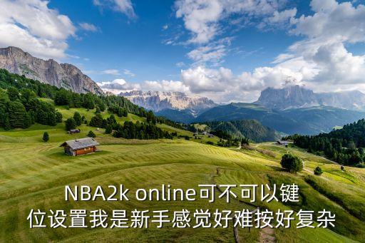 NBA2k online可不可以键位设置我是新手感觉好难按好复杂