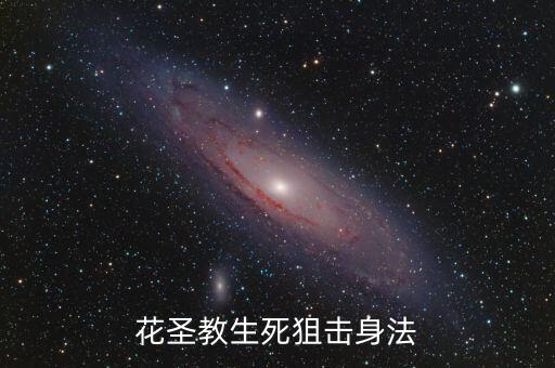 花圣教生死狙击身法