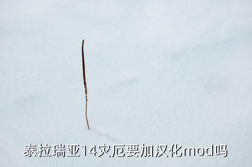 泰拉瑞亚14灾厄要加汉化mod吗