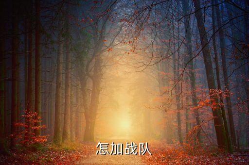 怎加战队