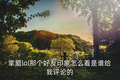 掌盟lol那个好友印象怎么看是谁给我评论的