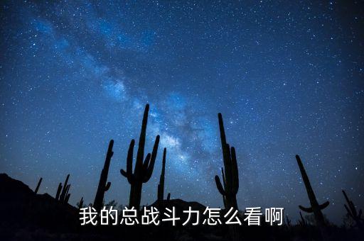 我的总战斗力怎么看啊