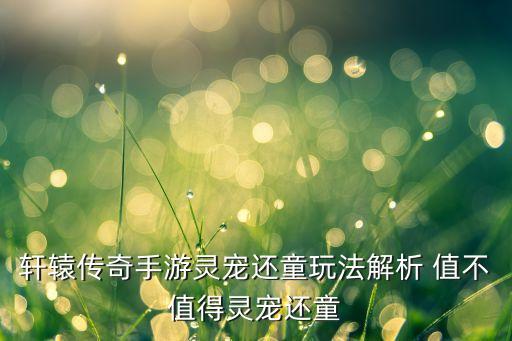 轩辕传奇手游灵宠还童玩法解析 值不值得灵宠还童