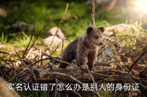 实名认证错了怎么办是别人的身份证