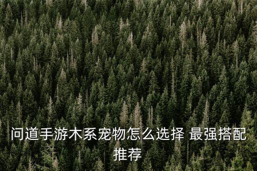 问道手游木系宠物怎么选择 最强搭配推荐