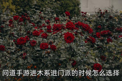 问道手游进木系进门派的时候怎么选择
