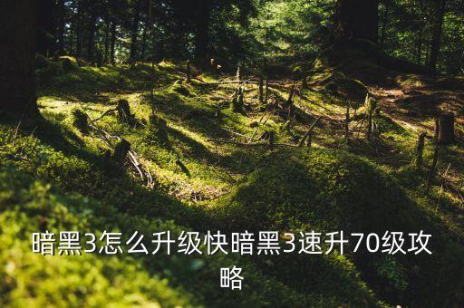 暗黑3怎么升级快暗黑3速升70级攻略