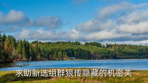 求助新选组群狼传隐藏的机密关