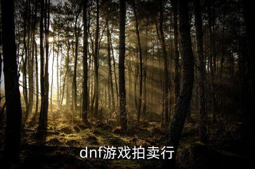 dnf手游韩服拍卖行怎么使用，DNF手游拍卖行怎么玩 拍卖行系统玩法详解