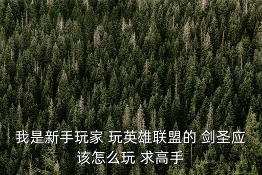 联盟手游圣剑怎么玩，怎么玩英雄联盟圣剑出神装