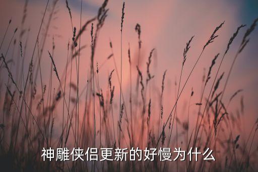 神雕侠侣更新的好慢为什么