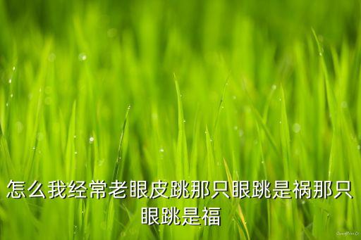 云顶之弈手游命运之轮宝典怎么搞，开紫钻是不是得到雷诺机率大