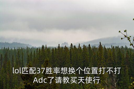 lol匹配37胜率想换个位置打不打Adc了请教买天使行