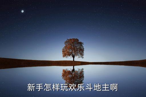 新手怎样玩欢乐斗地主啊
