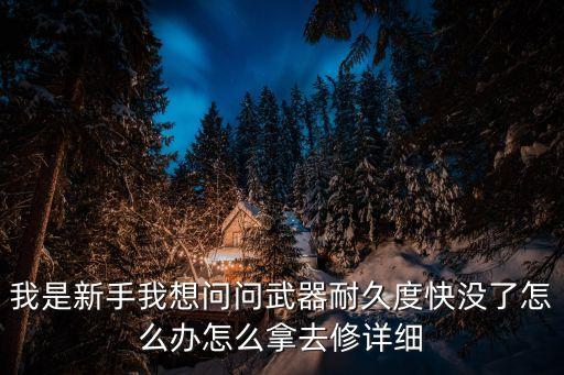 我是新手我想问问武器耐久度快没了怎么办怎么拿去修详细