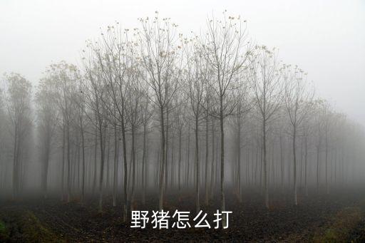 野猪怎么打