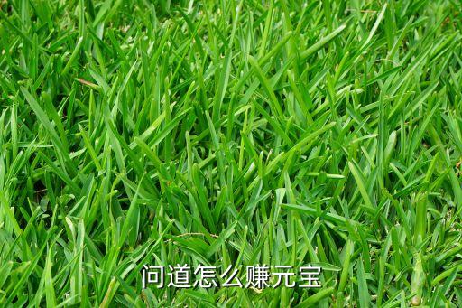 问道怎么赚元宝