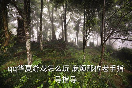 qq华夏游戏怎么玩 麻烦那位老手指导指导