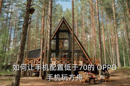 如何让手机配置低于70的 OPPO手机玩方舟