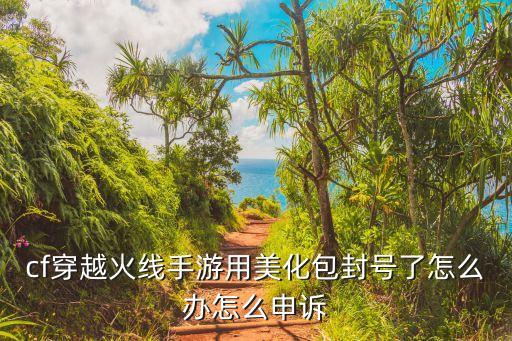 cf穿越火线手游用美化包封号了怎么办怎么申诉
