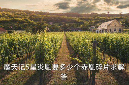 魔天记5星炎凰要多少个赤凰碎片求解答