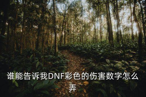 谁能告诉我DNF彩色的伤害数字怎么弄
