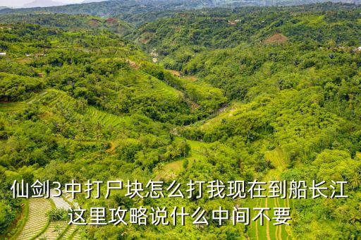 仙剑3中打尸块怎么打我现在到船长江这里攻略说什么中间不要