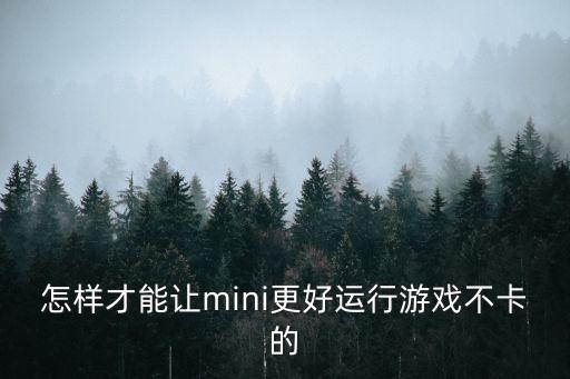 怎样才能让mini更好运行游戏不卡的