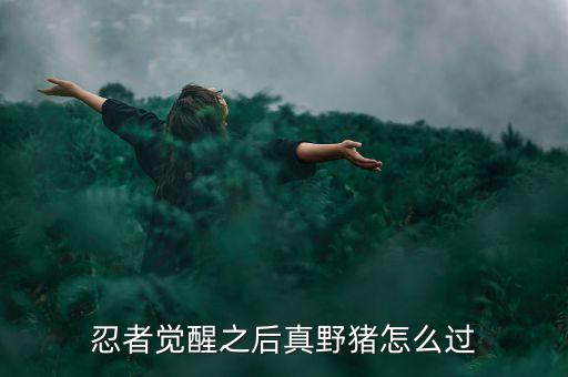 忍者觉醒之后真野猪怎么过