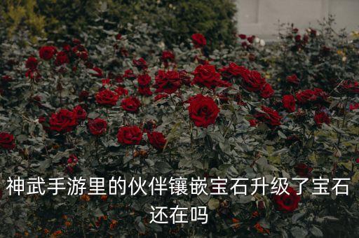 神武4手游伙伴耐怎么打石头，神武手游伙伴宝石镶嵌升级后掉宝石吗