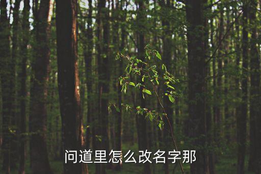 问道里怎么改名字那