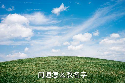 问道怎么改名字