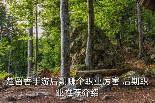 楚留香手游后期哪个职业厉害 后期职业推荐介绍