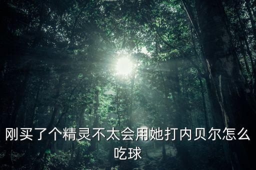 刚买了个精灵不太会用她打内贝尔怎么吃球