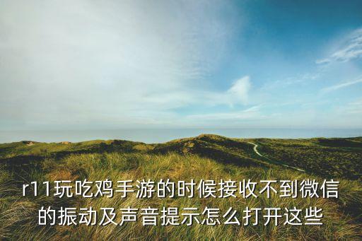 r11玩吃鸡手游的时候接收不到微信的振动及声音提示怎么打开这些