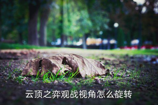 云顶之弈观战视角怎么旋转