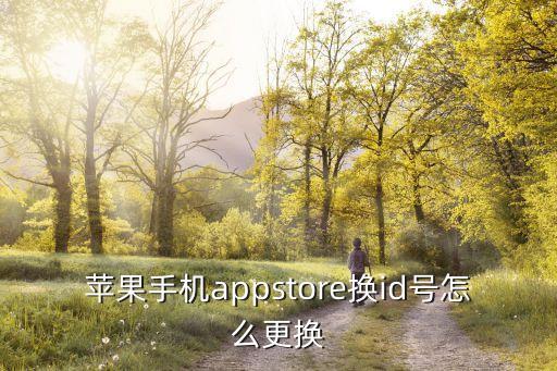 苹果手机appstore换id号怎么更换