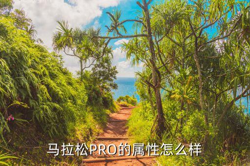 马拉松PRO的属性怎么样