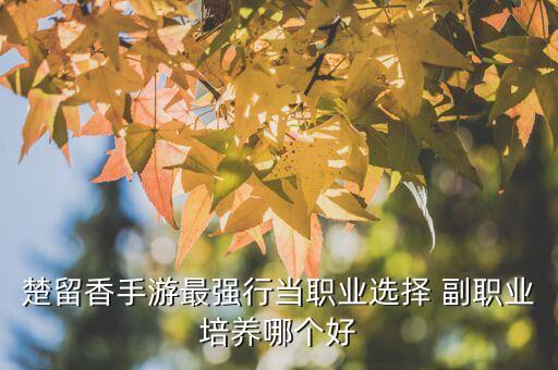 楚留香手游后期武功怎么样，楚留香手游后期武当华山哪个伤害高