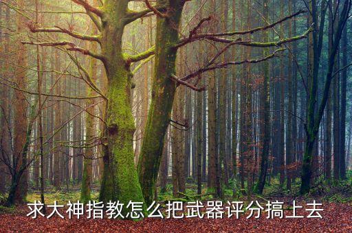 求大神指教怎么把武器评分搞上去