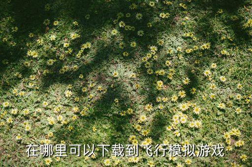 在哪里可以下载到飞行模拟游戏