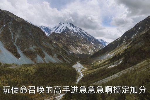 玩使命召唤的高手进急急急啊搞定加分