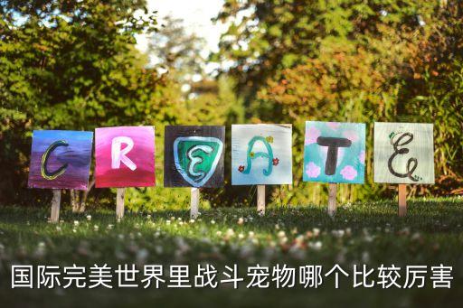 国际完美世界里战斗宠物哪个比较厉害