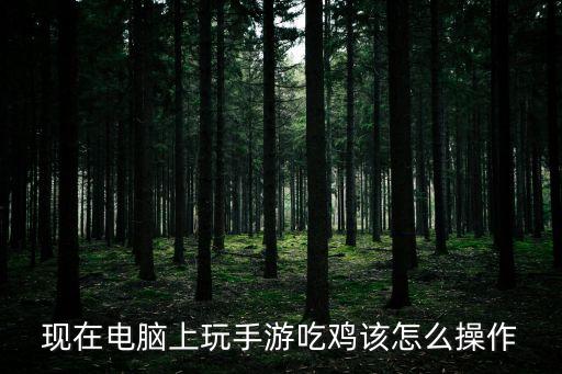 不求人怎么玩吃鸡手游，现在电脑上玩手游吃鸡该怎么操作
