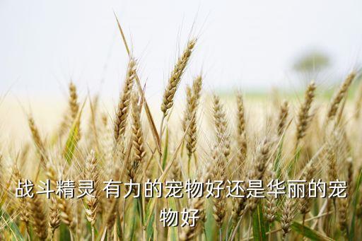 战斗精灵 有力的宠物好还是华丽的宠物好