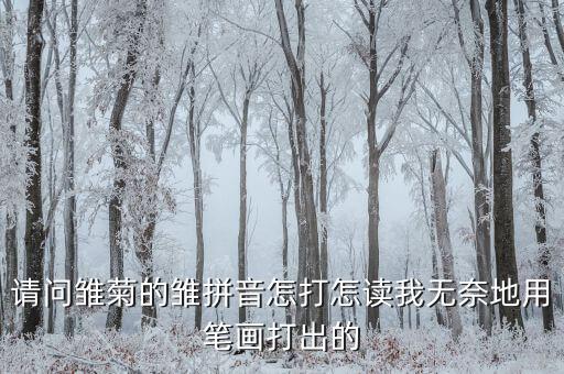请问雏菊的雏拼音怎打怎读我无奈地用笔画打出的