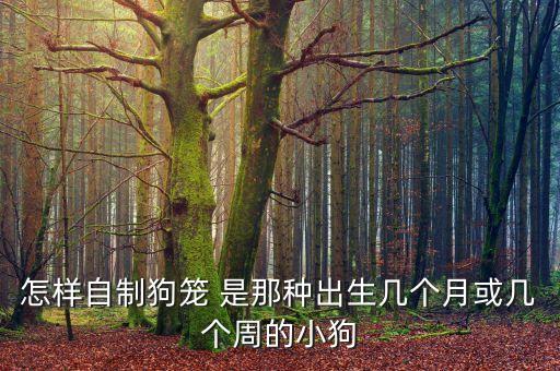 怎样自制狗笼 是那种出生几个月或几个周的小狗