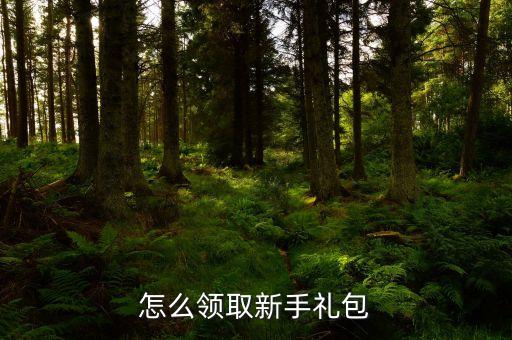金色健康码怎么领取英雄联盟手游，怎么领取新手礼包