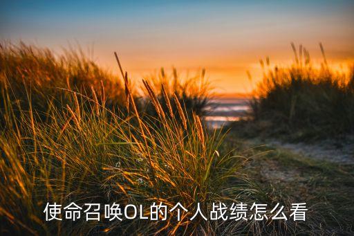 使命召唤OL的个人战绩怎么看