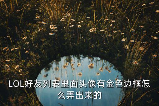LOL好友列表里面头像有金色边框怎么弄出来的